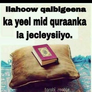 Meet your Posher, Fatush